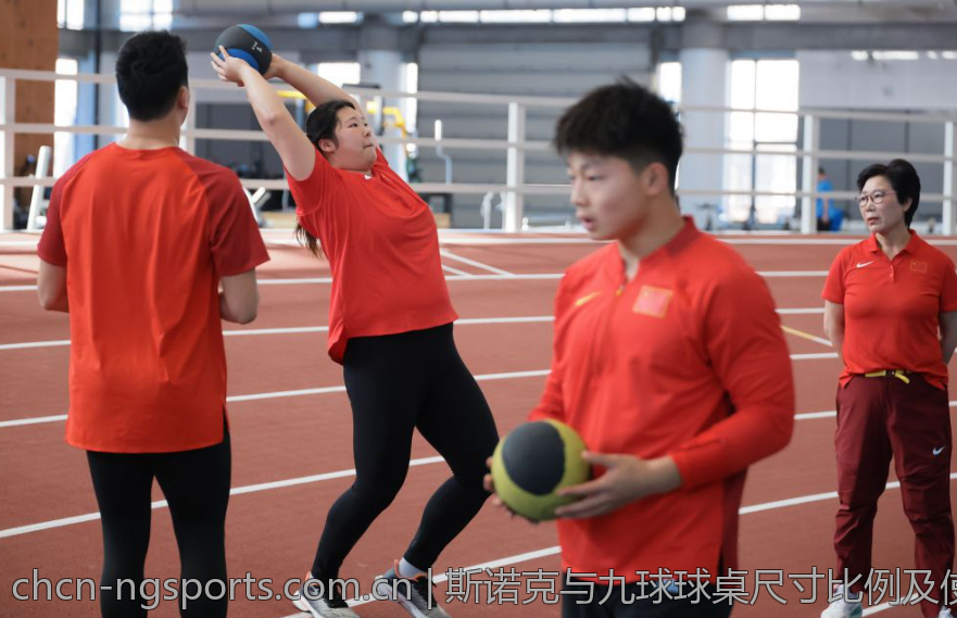斯诺克与九球球桌尺寸比例及使用场景探讨